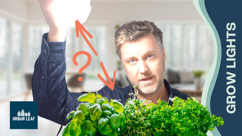 LED Grow Light Distance Chart From Plants. How Far Should Grow Lights Be From Plants?
