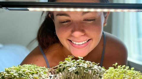 2024's Best Microgreens Growing Kits - Start Your Year Right!