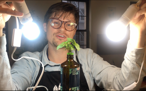 Buying Guide for Indoor Grow Lights: The Best Screw-In E26 Grow Light Bulbs For Indoor Plants