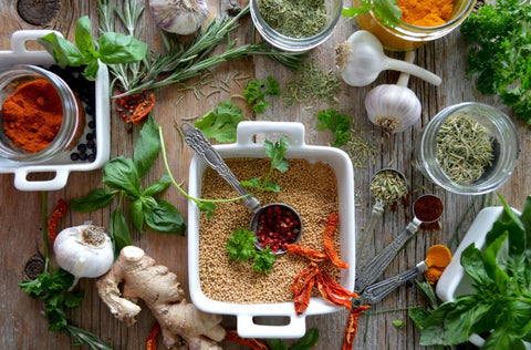 Are Fresh Herbs Better than Dried Herbs: How to Use Them Correctly