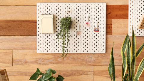 5 Best Indoor Garden Ideas for Small Spaces