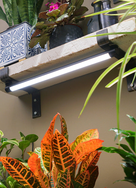 Grove LED Grow Light