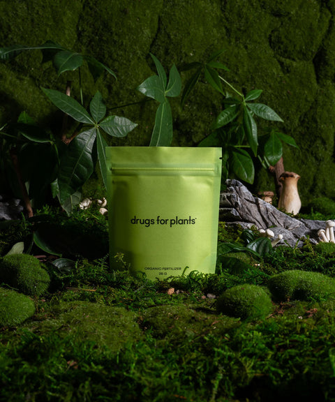 28G Bag Organic Fertilizer