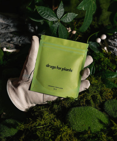 28G Bag Organic Fertilizer