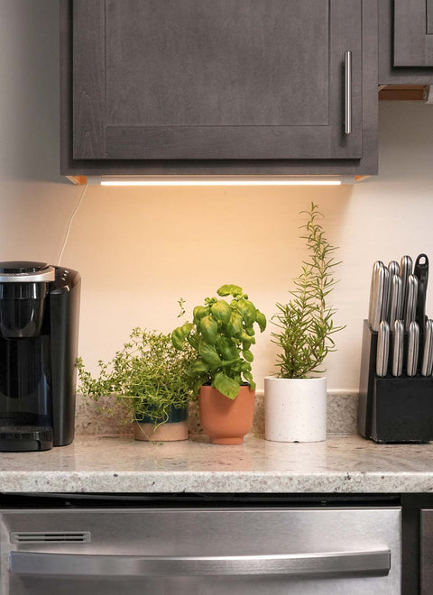 Grove LED Grow Light