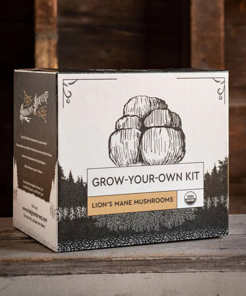 Organic Lion's Mane Mushroom Grow Kit