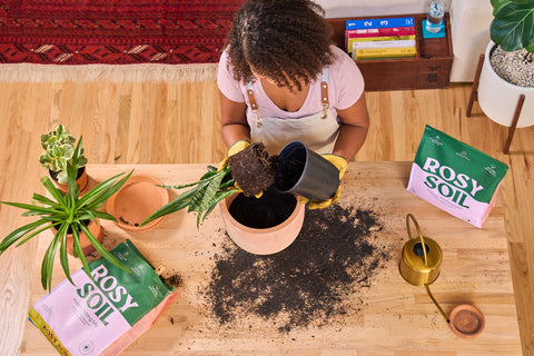 Plant-based packaging in convenient sizes for indoor plant parents