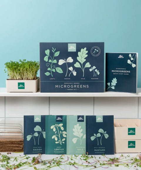 Windowsill Microgreens Kit