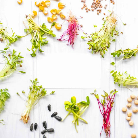How COVID-19 Is Changing The Way We EatWhat Are Microgreens, and what is all the fuss about?