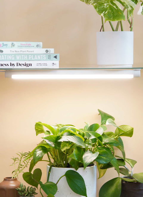 Grove LED Grow Light
