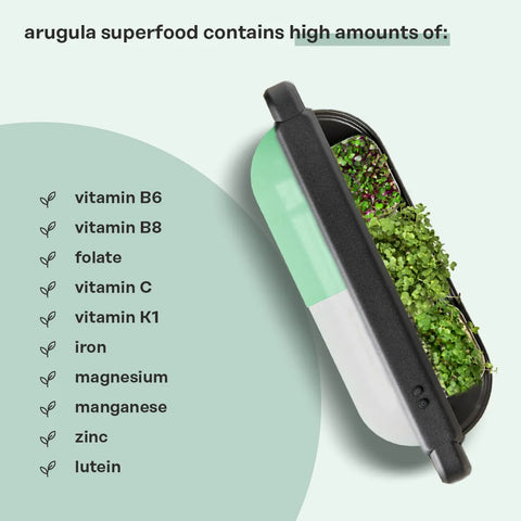 Arugula Superfood (refill kit for ingarden)