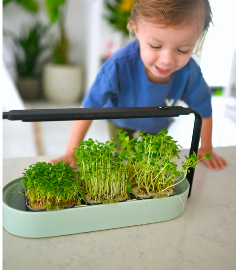 Modern Microgreens Kit with Grow Light