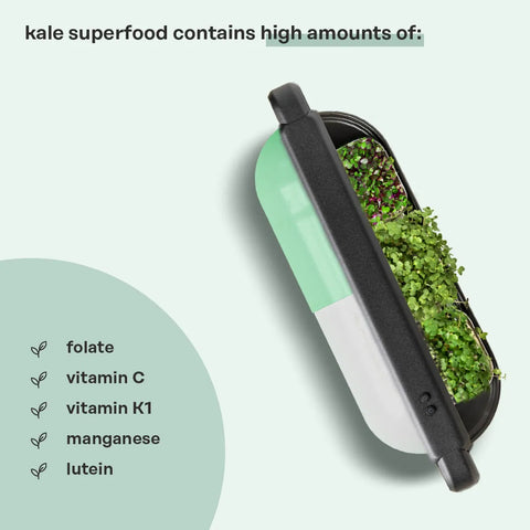 Kale Superfood (for ingarden)