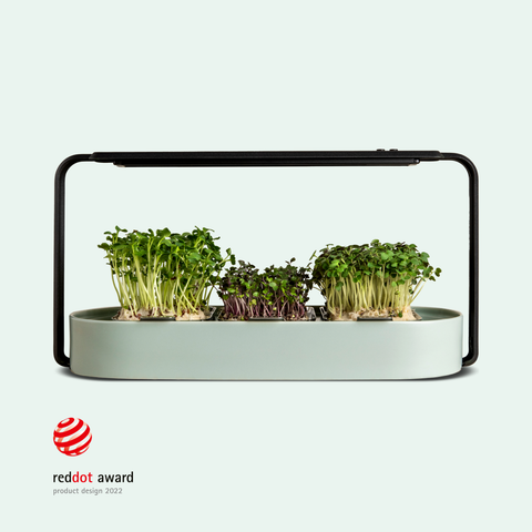 Modern Microgreens Kit with Grow Light