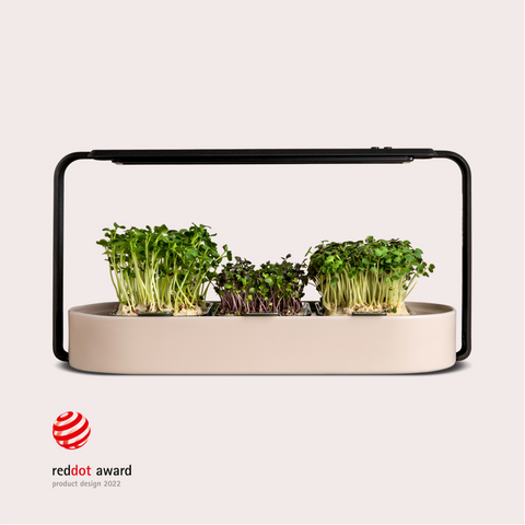 Modern Microgreens Kit with Grow Light