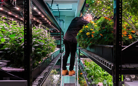Urban Leaf x Farm.One: Announcing our new collaboration with NYC’s most innovative vertical farm