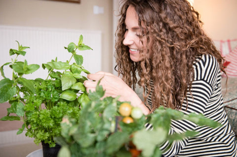 Taking Care of Indoor Vegetable Plants