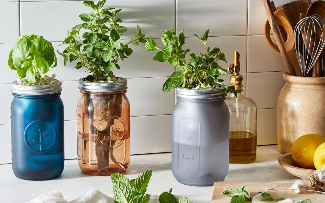 How To Make Your Own Self Watering Herb Garden Urban Leaf