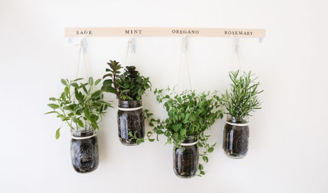 5 Household Items You Can Re-Purpose To Start An Herb Garden
