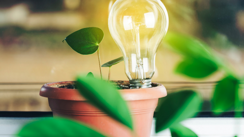 Grow best sale light wattage