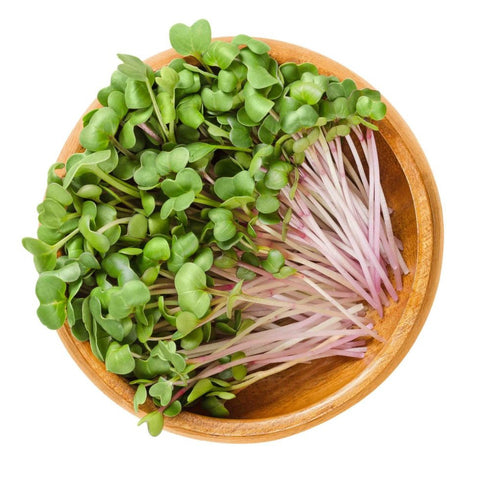 What are the Health Benefits of MicroGreens?