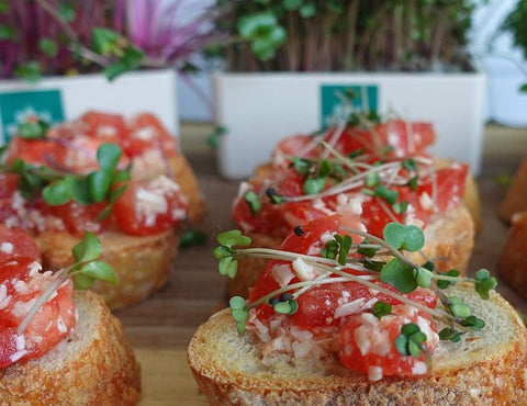 Bruschetta Recipe: How to Make Bruschetta with Microgreens