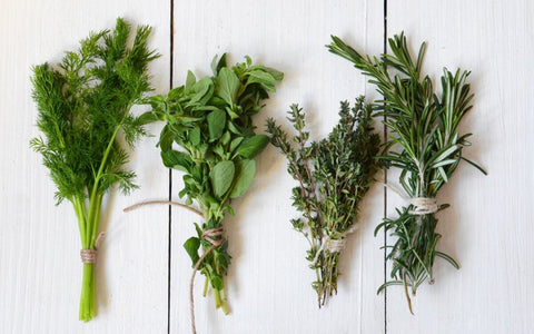 How to Dry Herbs