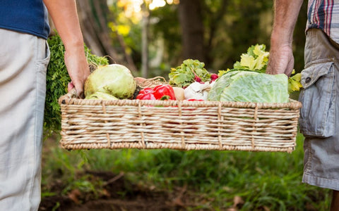 The Research-Backed Benefits of Community Gardening, and How You Can Enjoy Them At Home