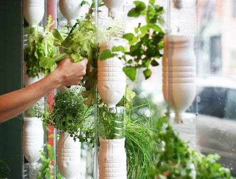 5 Gardening Projects Made From Recycled Household Items