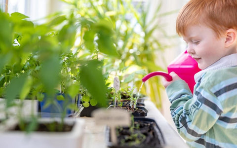 How to Keep Herbs Alive Indoors