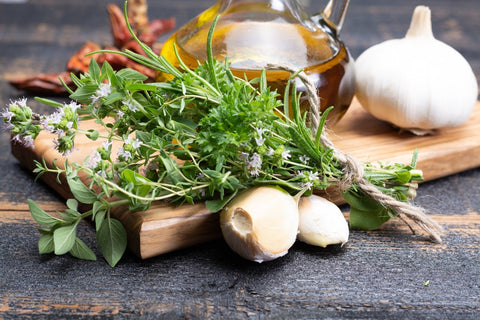 Best Herbs To Grow Indoors This Winter