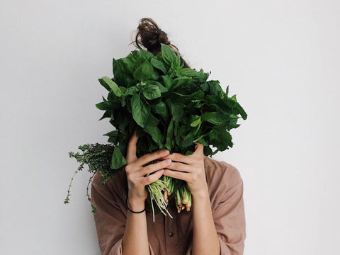 Indoor Planters for Herbs that Like Moist Soil