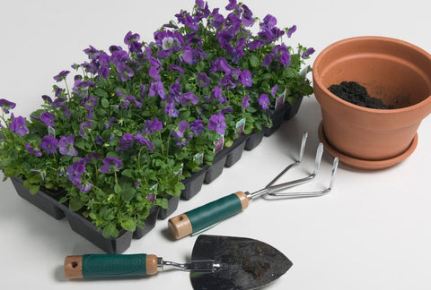 Indoor Gardening Tool Kit Essentials – What Are The Best Gardening Tools For The Indoor Gardener