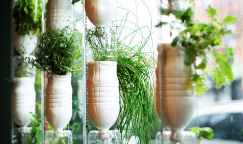 Do More With Less: 5 Tips and Tricks for Getting The Most Out Of Your Small-Space Indoor Garden