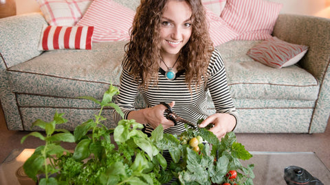 Indoor Gardening Tips: Maintaining A Healthy Garden Indoors