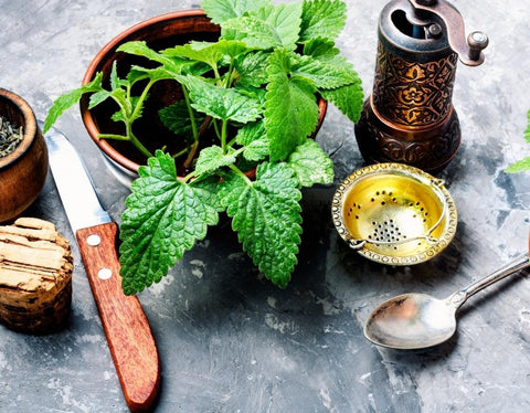 Uses for Lemon Balm and How to Cook with it