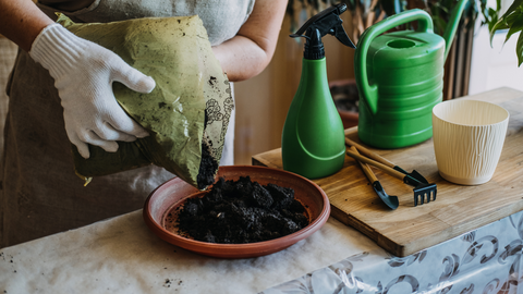 The Hidden Costs of Cheap Potting Mix: A Guide to Smarter Gardening Choices