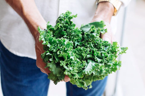 Growing Lettuce & Leafy Salad Greens Indoors