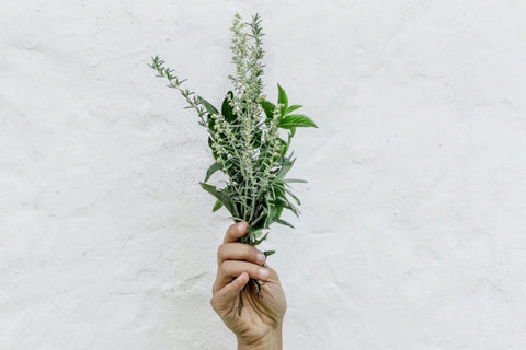 Indoor Planters for Herbs that Like Dry Soil