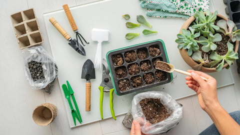 Microgreens Frequently Asked Questions