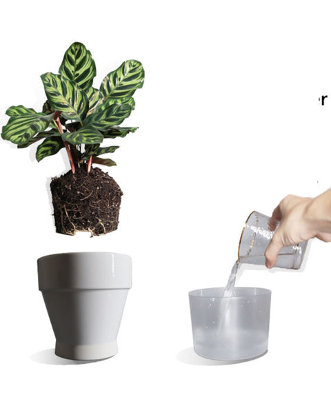 COSWIP Smart Self-Watering Planter