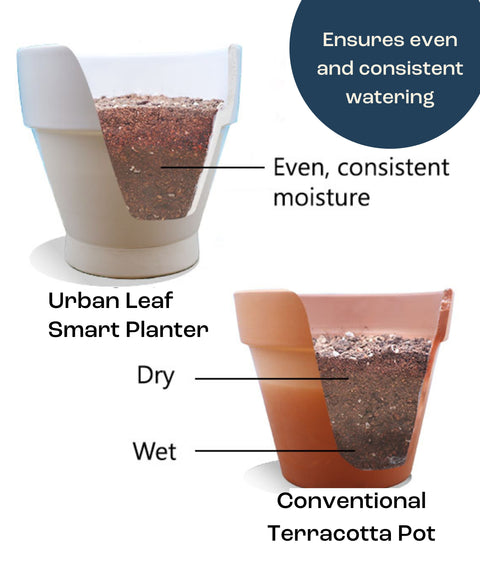 COSWIP Smart Self-Watering Planter