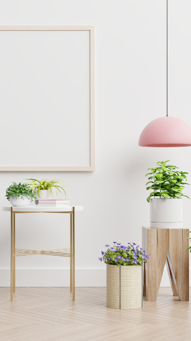 Lighting