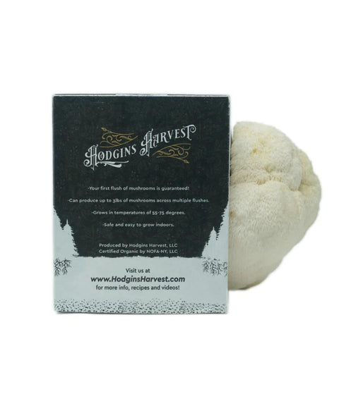 Organic Lion's Mane Mushroom Grow Kit