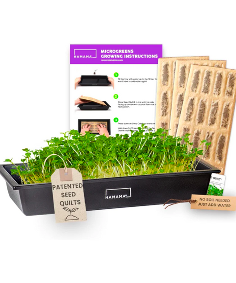 Family Sized Microgreens Tray Kit