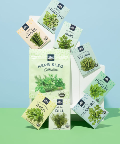 Herb Seed Collection