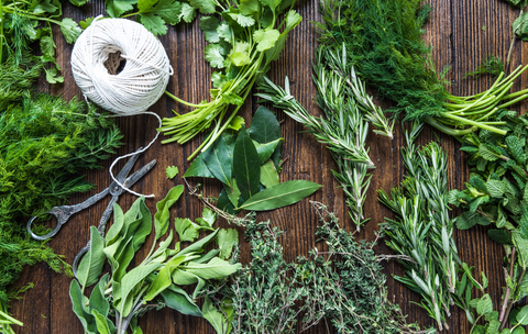 Herbs