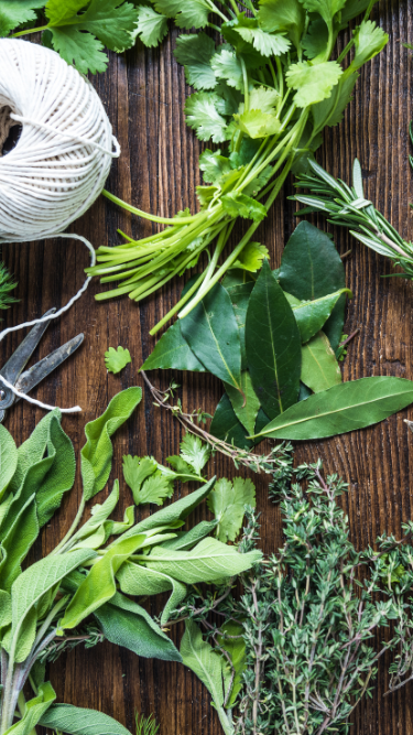 Herbs