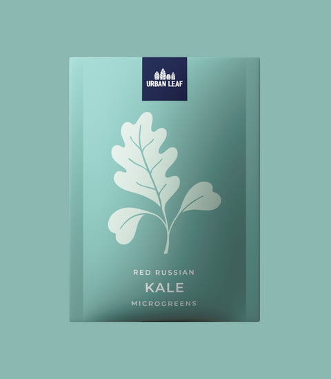 Kale - Red Russian (Microgreens)