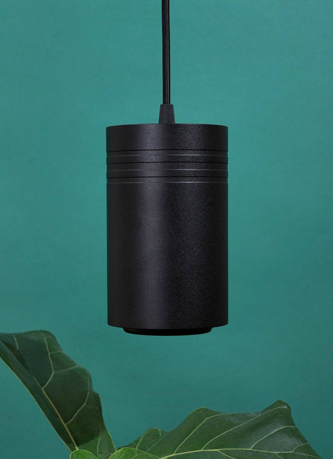 A black pendant light hanging over a vibrant green plant, enhancing the home decor while providing optimal grow light with the Aspect LED Growlight for indoor plants.